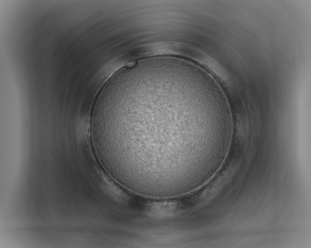 X0000111420793200907201047