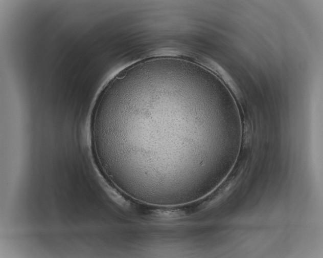 X0000111420795200907201047