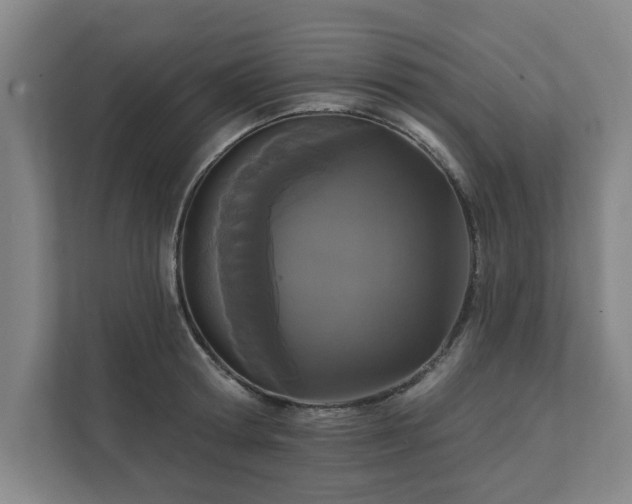 X0000111420802200907201046