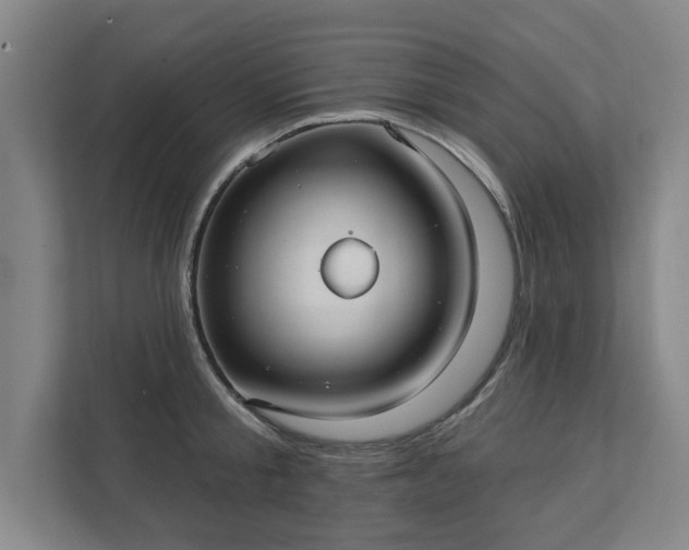 X0000111420805200907201046