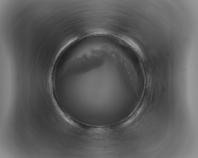 X0000111420806200907201046