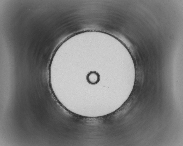 X0000111420807200907201046