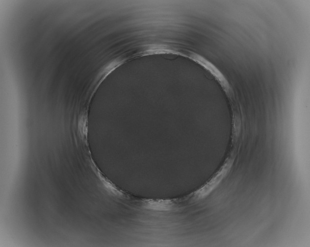 X0000111420809200907201046