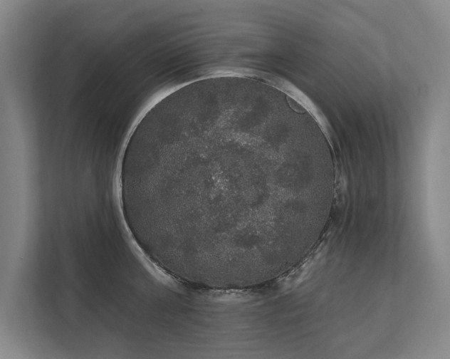 X0000111420811200907201046