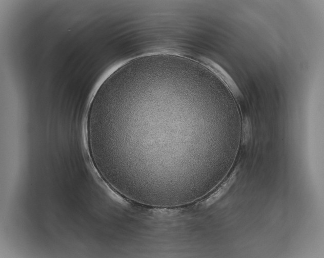 X0000111420812200907201046