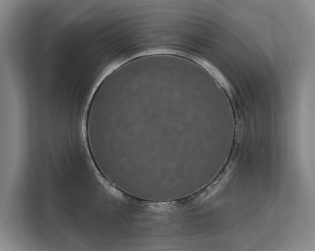 X0000111420813200907201046