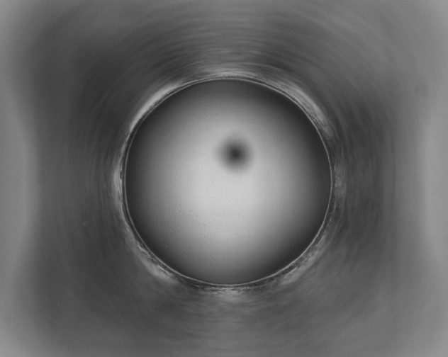 X0000111420814200907201046