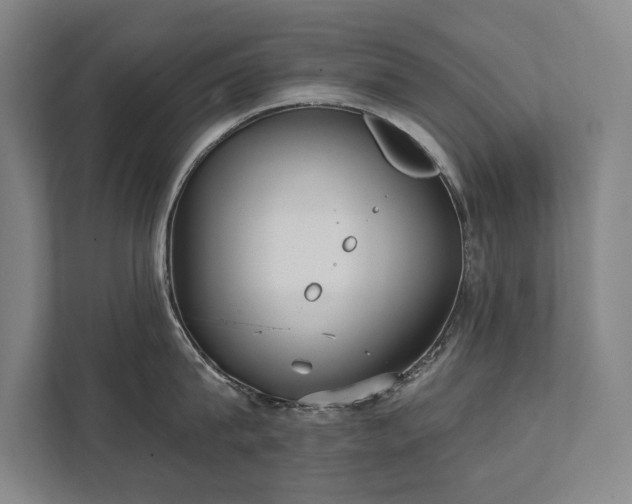 X0000111420815200907201046