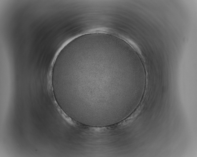 X0000111420816200907201046