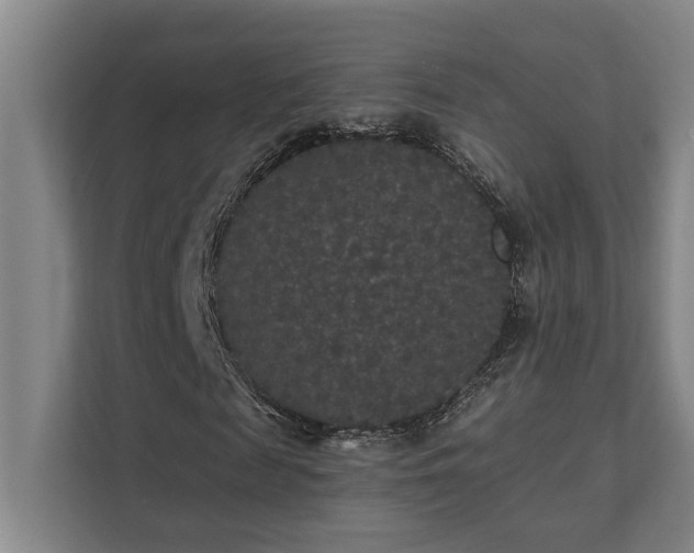 X0000111420817200907201046