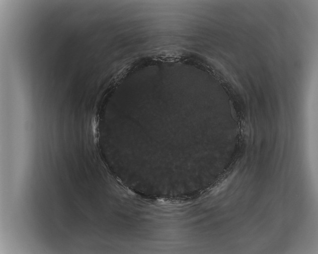 X0000111420818200907201046