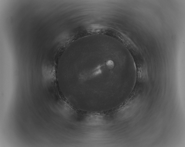 X0000111420820200907201046