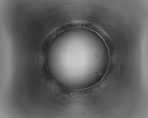 X0000111420821200907201046