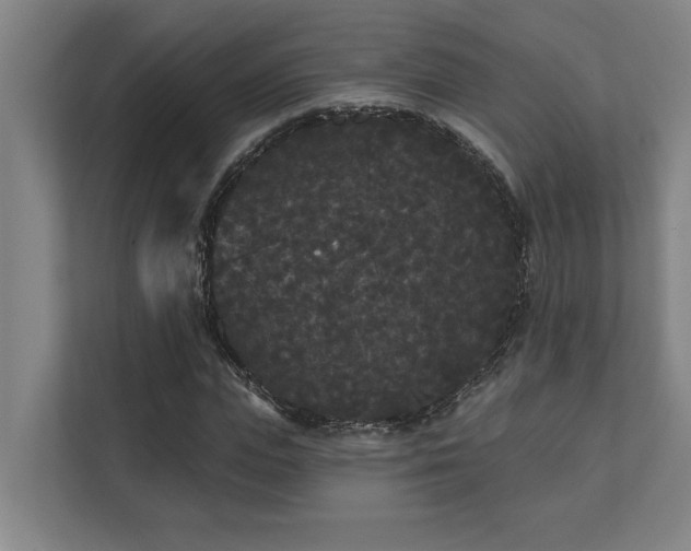 X0000111420823200907201046