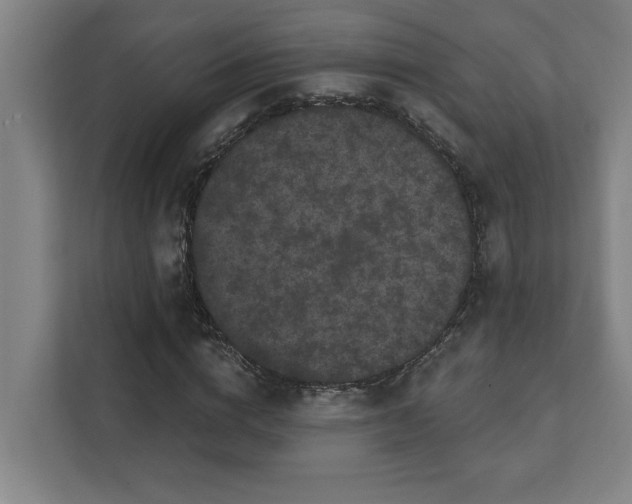 X0000111420824200907201046