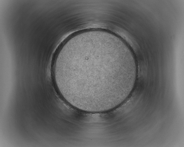 X0000111420828200907201046