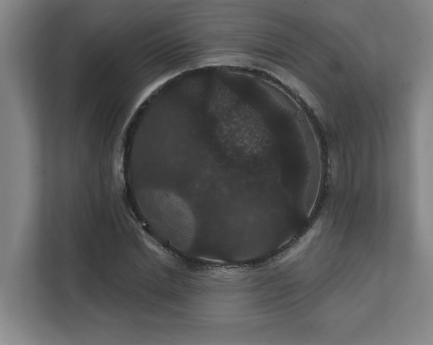 X0000111420830200907201046