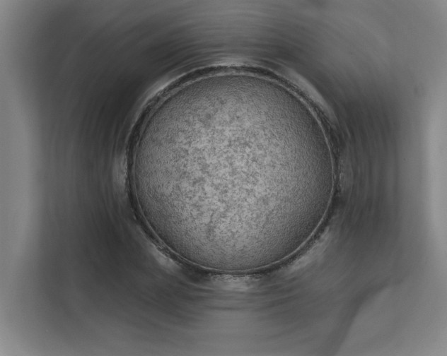 X0000111420831200907201046