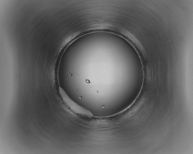 X0000111420834200907201046