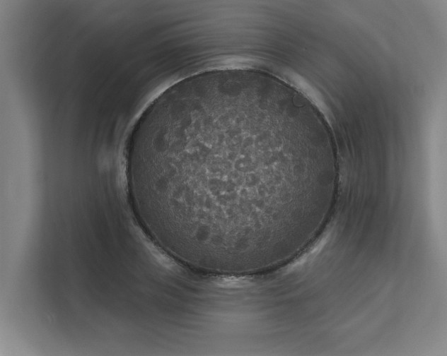 X0000111420835200907201046