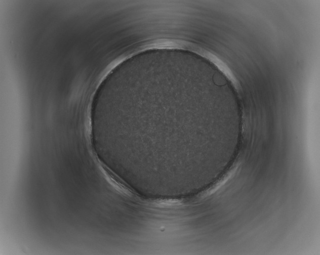 X0000111420837200907201046