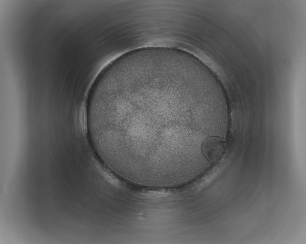 X0000111420838200907201046