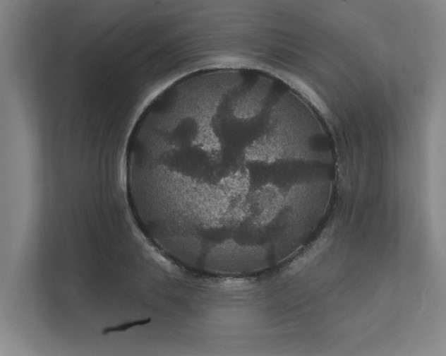 X0000111420839200907201046