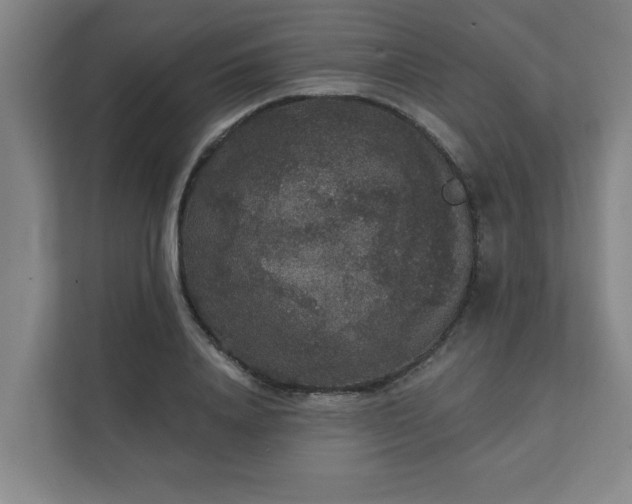 X0000111420840200907201046