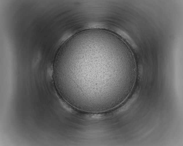 X0000111420841200907201046