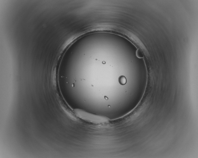 X0000111420842200907201046