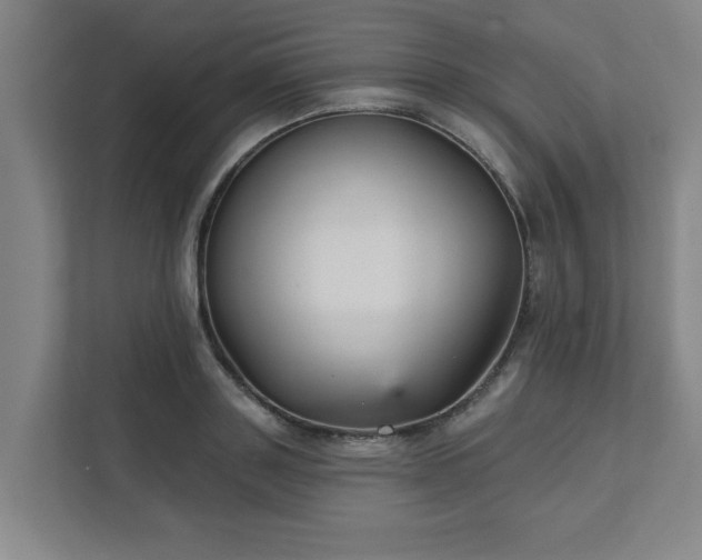 X0000111420843200907201046