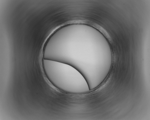 X0000111420844200907201046