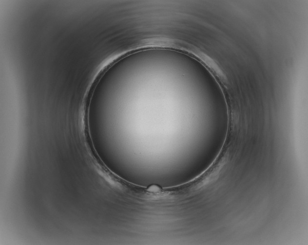 X0000111420846200907201046