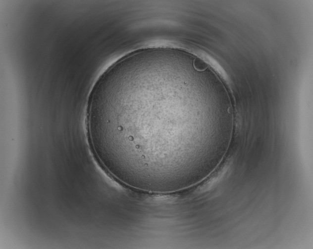 X0000111420847200907201046