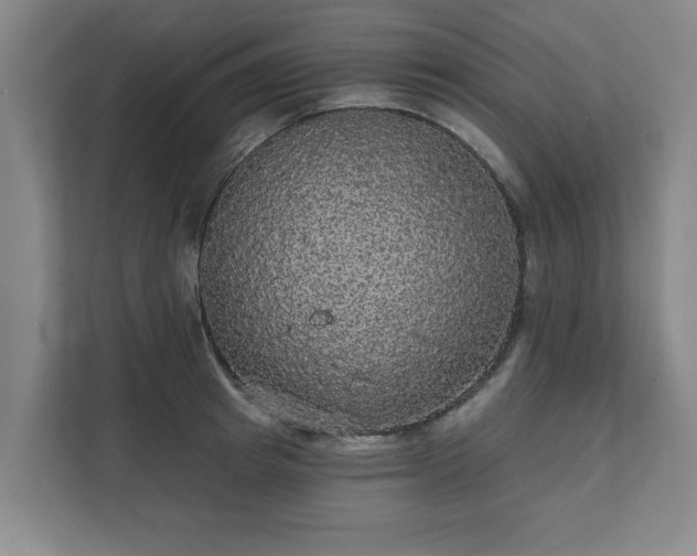 X0000111420849200907201046