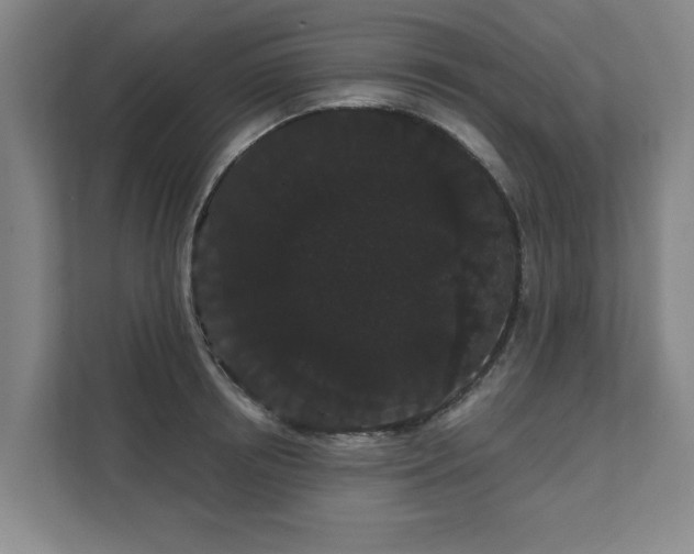 X0000111420850200907201046