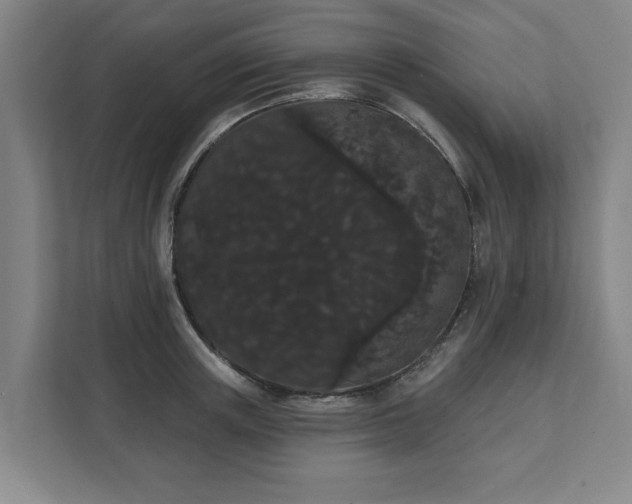 X0000111420851200907201046