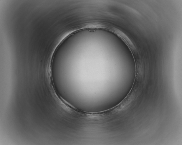 X0000111420852200907201046