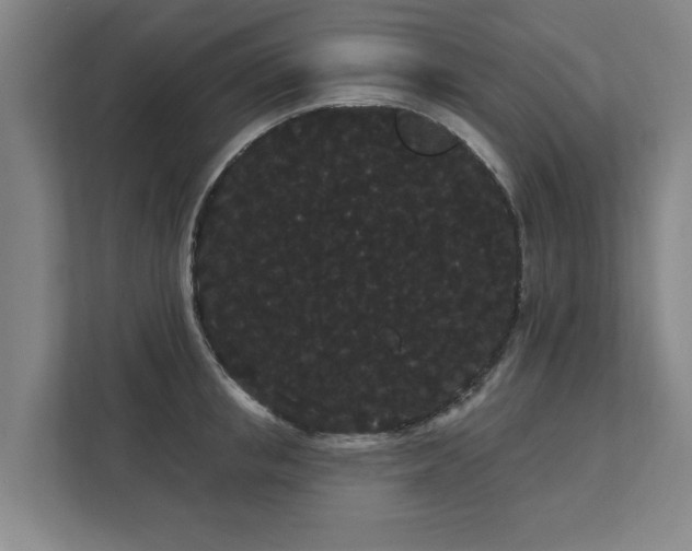 X0000111420853200907201046