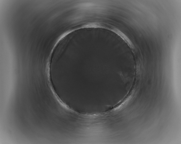 X0000111420854200907201046