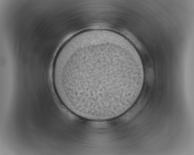 X0000111420856200907201046