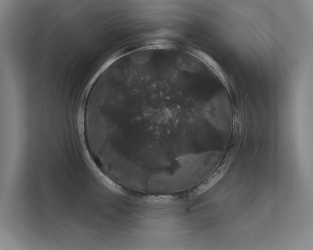 X0000111420859200907201046