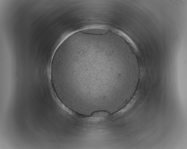 X0000111420860200907201046