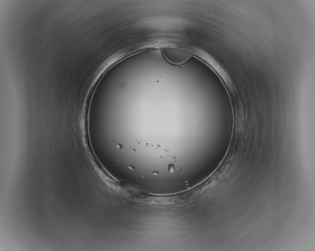 X0000111420861200907201046