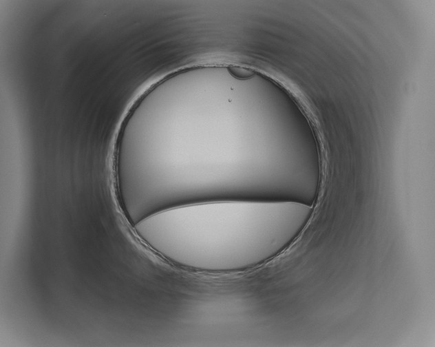 X0000111420864200907201046