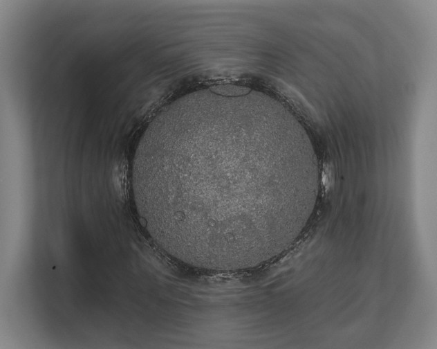 X0000111420867200907201046