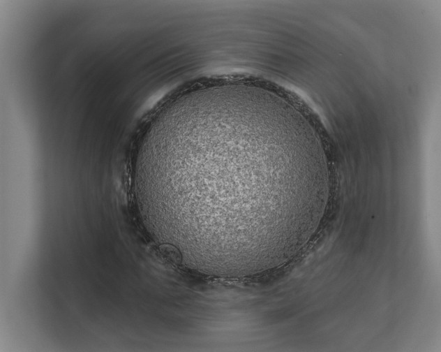 X0000111420871200907201046