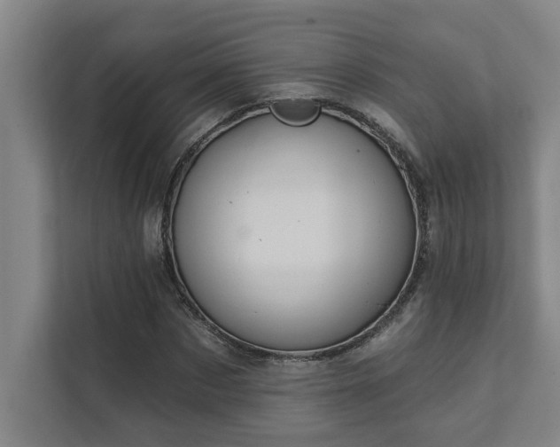 X0000111420873200907201046