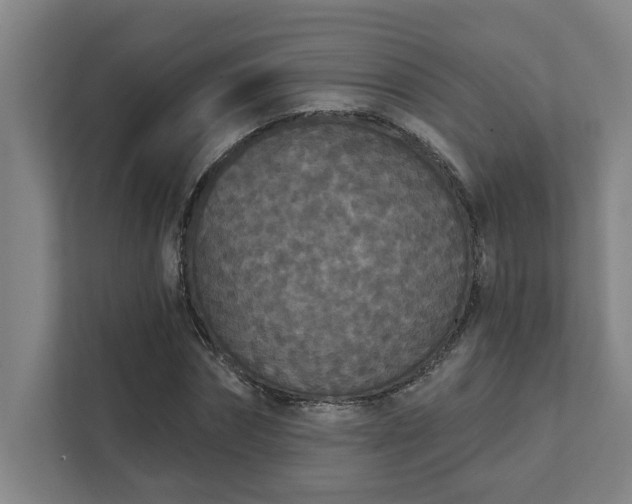 X0000111420874200907201046