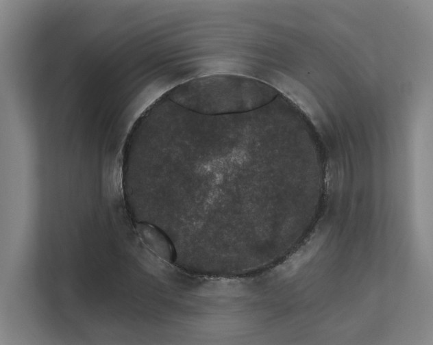 X0000111420877200907201045